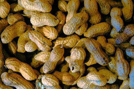 Peanuts in the shell, close-up of peanuts in the shell