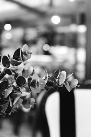 Black and white photo of flowers.の写真素材