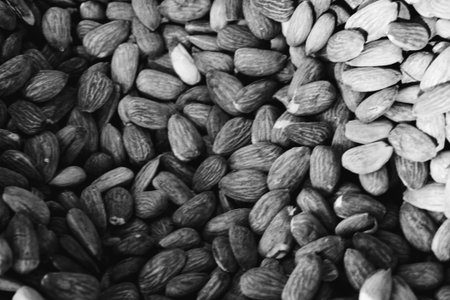 Almond seeds in black and white tone for background or texture.の写真素材