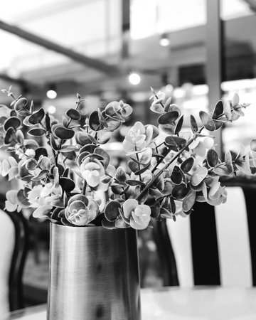 flowers in vase decoration in coffee shop - black and whiteの写真素材
