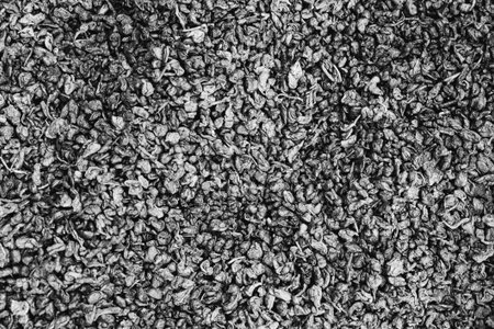 Coffee background. A lot of coffee beans. Black and white.の写真素材