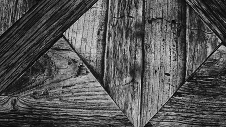 Old wood texture. Abstract background for design. Black and white.