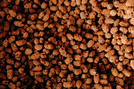 close up of a bunch of mulberry