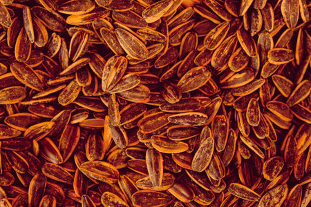 Close up of sunflower seeds. Natural background. top view