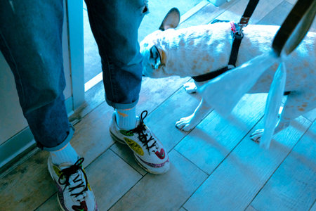 cute dog waiting for the vet