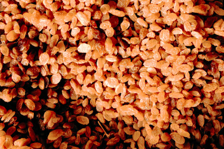Raisins in the market, close-up, background.の写真素材