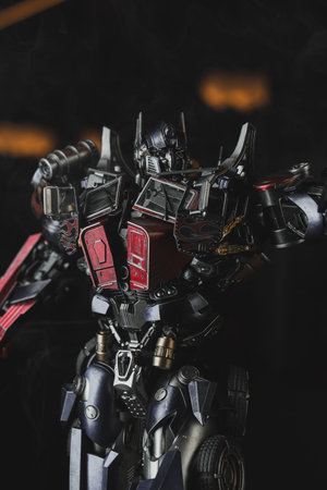 figure, special collection figure