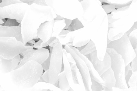 white rose petals background in black and white tone. Abstract background and texture for design.