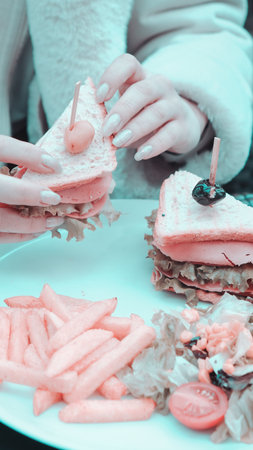 Delicious meat sandwich on the tableの写真素材