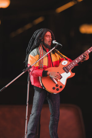 Bob marley figure, special collection figureの写真素材