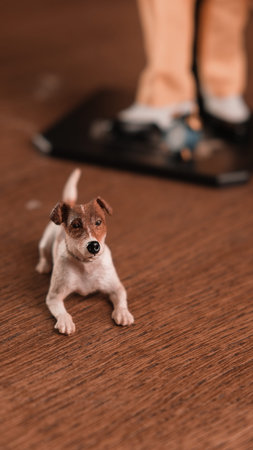 The dog maylo figure, special collection figure