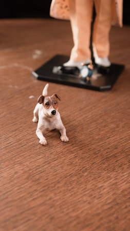 The mask and the dog figure, special collection figureの写真素材