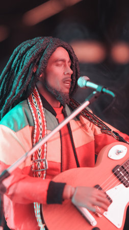 Bob marley figure, special collection figureの写真素材