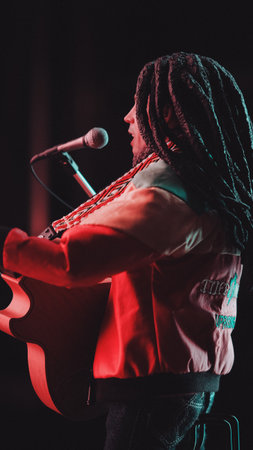 Bob Marley figure, special collection figureの写真素材