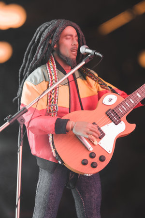 Bob marley figure, special collection figure