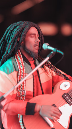 Bob marley figure, special collection figureの写真素材