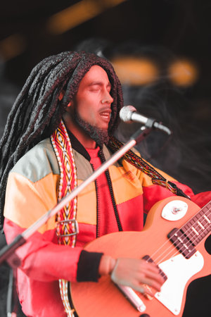 Bob marley figure, special collection figure