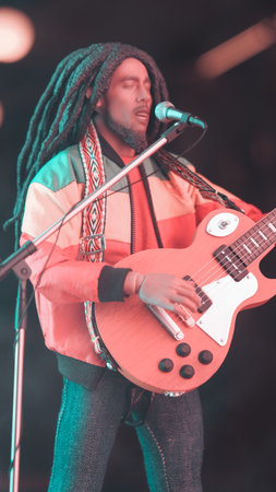 Bob marley figure, special collection figureの写真素材