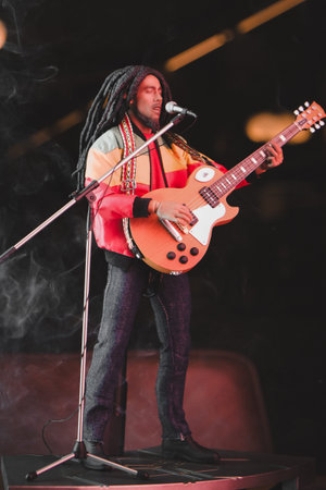 Bob marley figure, special collection figure
