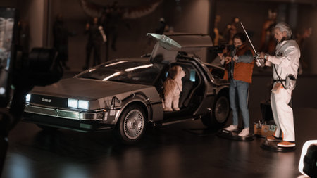 Back to the future figure, special collection figure