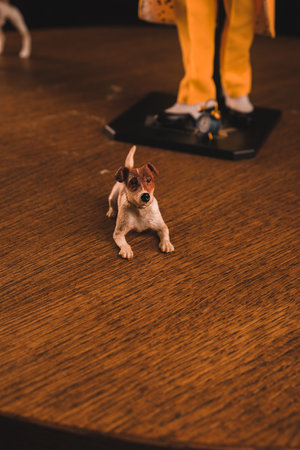 The dog maylo figure, special collection figureの写真素材