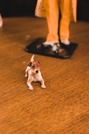 The dog maylo figure, special collection figureの写真素材