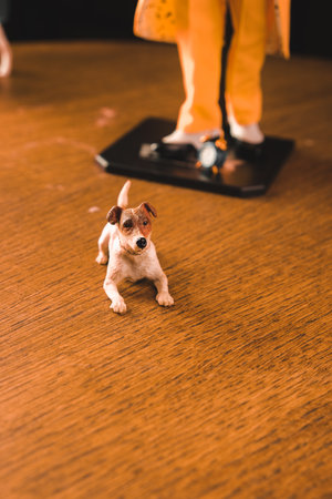 The dog maylo figure, special collection figureの写真素材