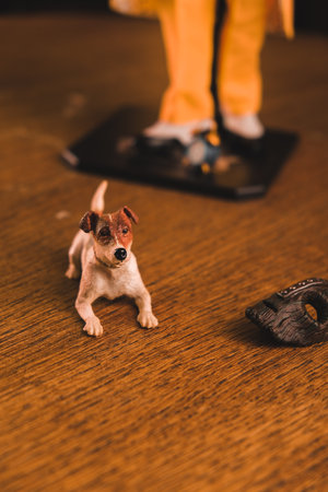 The mask and the dog Maylo figure, special collection figureの写真素材