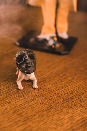 The mask and the dog maylo figure, special collection figureの写真素材