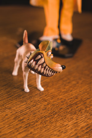 The mask and the dog maylo figure, special collection figureの写真素材