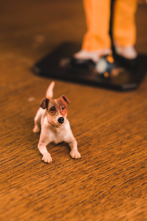 The dog maylo figure, special collection figureの写真素材