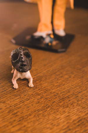 The mask and the dog maylo figure, special collection figureの写真素材