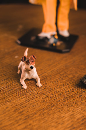 The dog maylo figure, special collection figureの写真素材