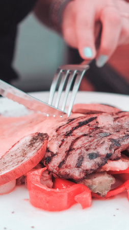 A deliciously seasoned meat dish for any occasionの写真素材