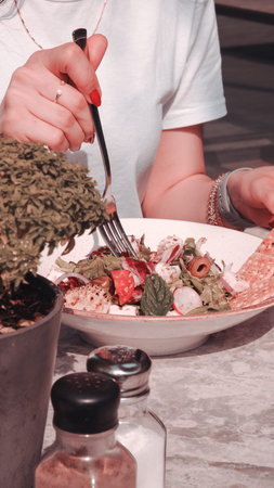 Fresh salad plate with mixed greens