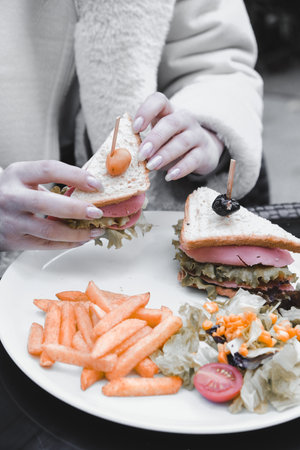 Delicious sandwich on the tableの写真素材