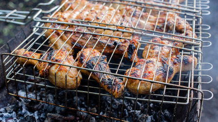 Chicken thighs and chicken breast are fried on an outdoor fire on a metal grid.の写真素材