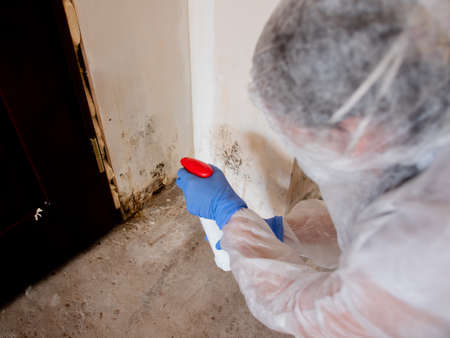A woman in a protective suit, using a spray gun to spray the affected walls with mold.の写真素材