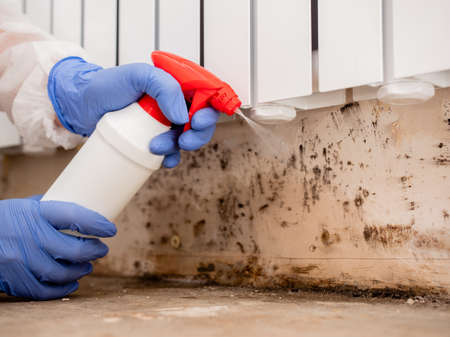 Removing Mold From Internal Walls. Elimination of mold at home under the heating battery, Clouse-up.の写真素材
