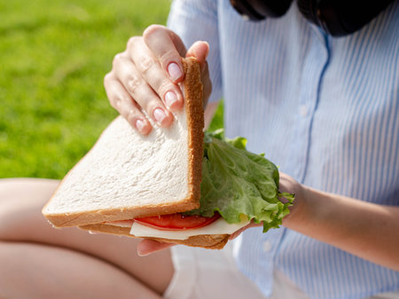 The girl is preparing to have lunch in the park with a juicy sandwich. Close up on a sandwich. Student on the lawn making a snack sandwichの写真素材