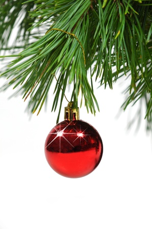Christmas ball on green pine branchの写真素材