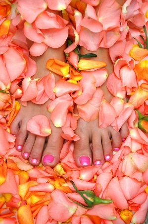 lacquered feet nails in rose leavesの写真素材