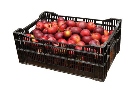 Plastic apple boxの写真素材