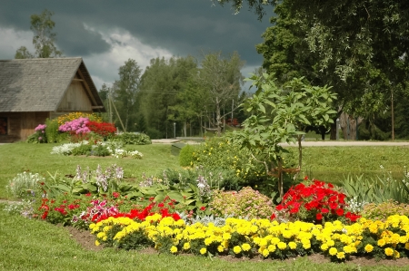 field flower garden and storm clouds in the backgroundの写真素材