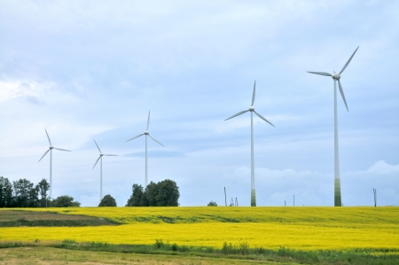 Wind Generators in rapeseed fieldの写真素材
