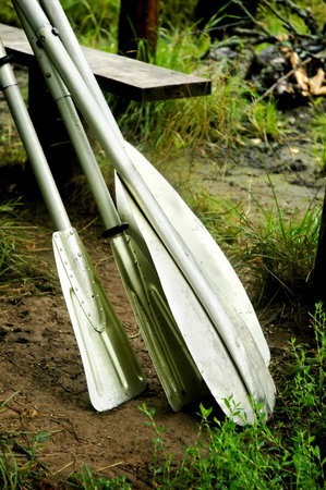 Boat paddles