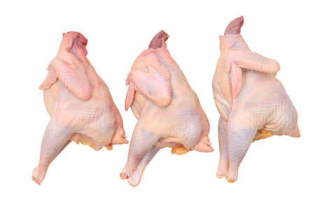 three chickenの写真素材