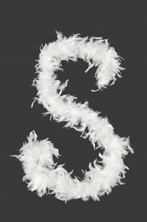 Letter  S of feather boa alphabetの写真素材