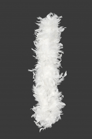 Letter I of feather boa alphabetの写真素材