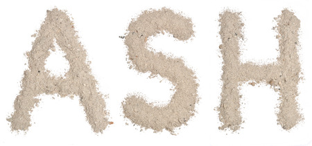 Word ASH made of ashの写真素材